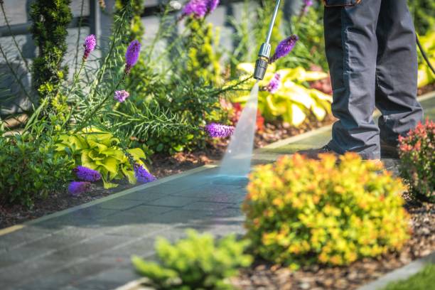 Best Gutter Cleaning  in Anthem, AZ